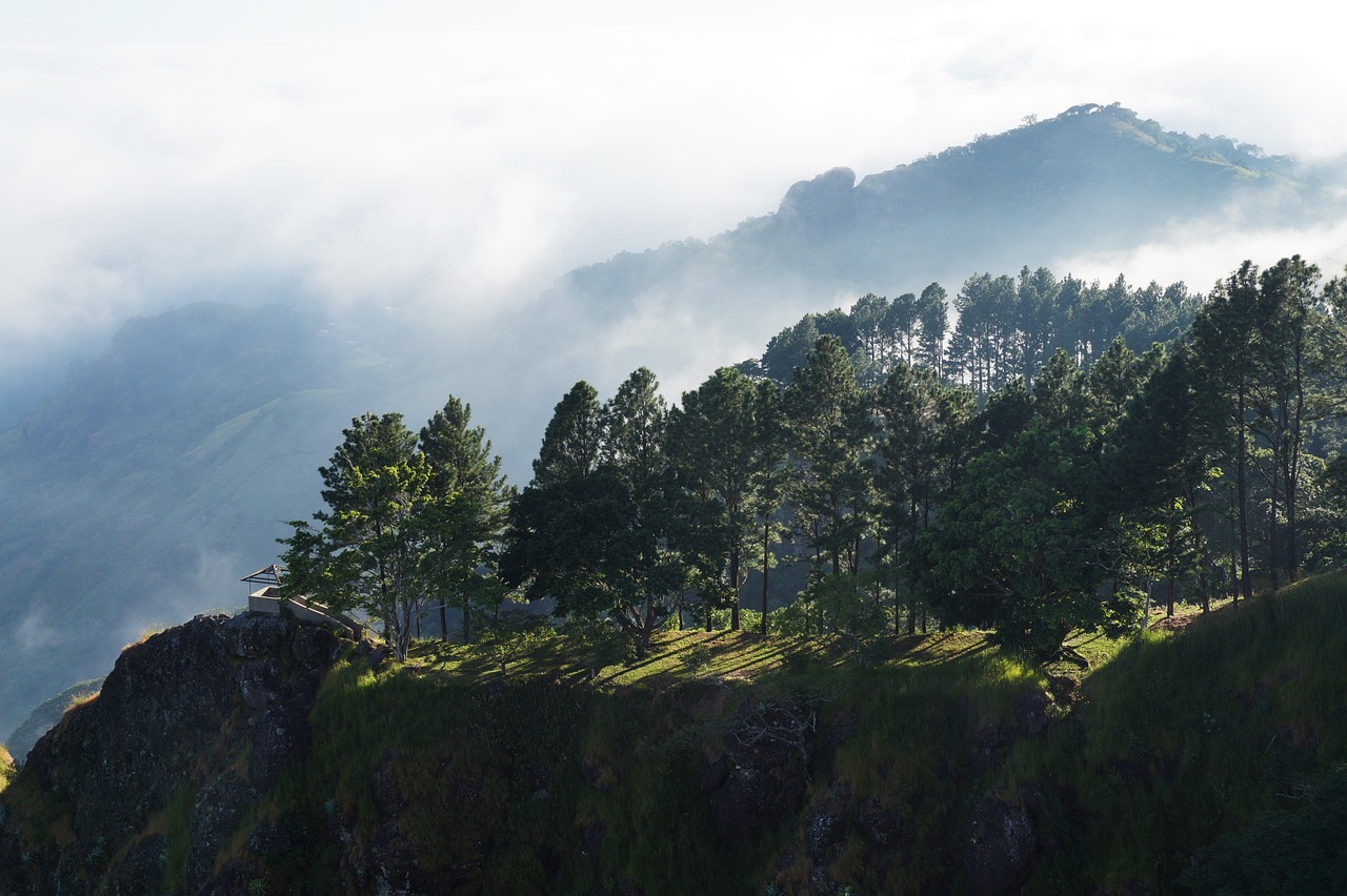 The Secrets of the Lost Treasures of the Incas